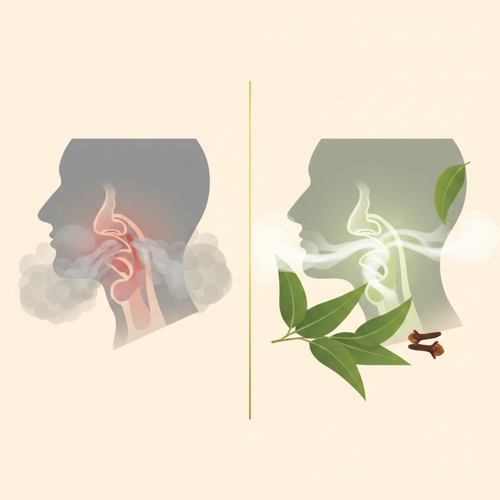 Steam Mantra - Natural Steam Inhalation for Cold & Cough Relief